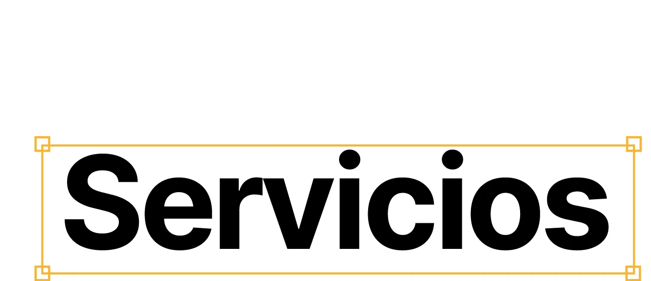 Nuestros Servicios