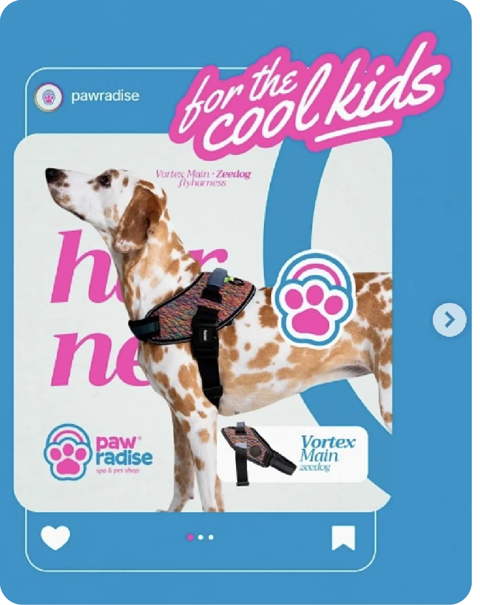 Branding Pawradise para productos de mascotas